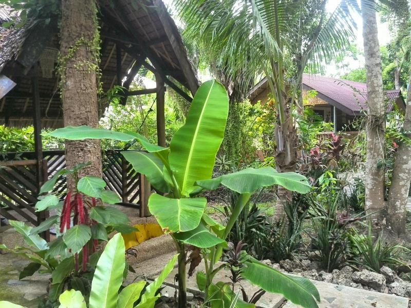 Bananaland Cottages Tawala  Εξωτερικό φωτογραφία